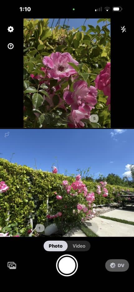 Wide + ultra-wide capture, one tap